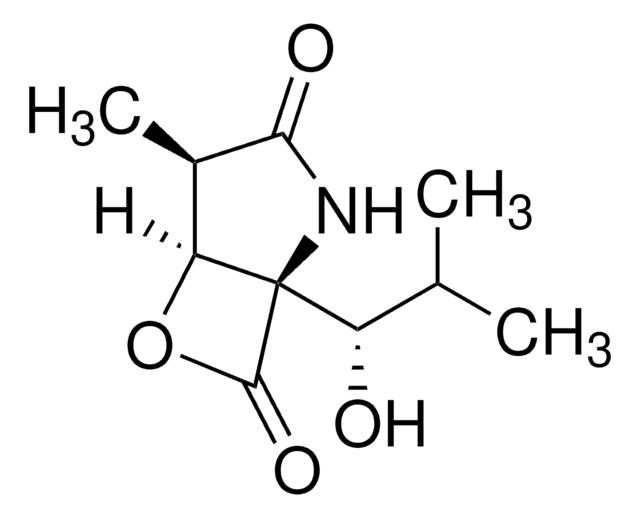 clasto-Lactacystin &#946;-lactone