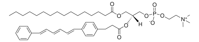 16:0-DPH PC Avanti Polar Lipids