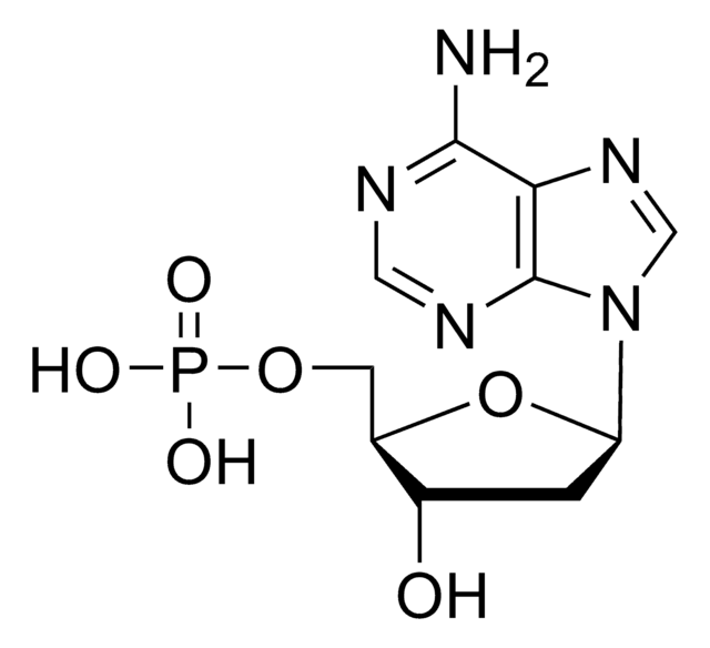 2&#8242;-Desoxyadenosin 5&#8242;-Monophosphat Sigma Grade, 98-100%