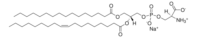 16:0–18:1 PS (POPS) Avanti Polar Lipids