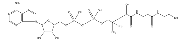 3&#8242;-Dephosphocoenzym A &#8805;90% (HPLC)