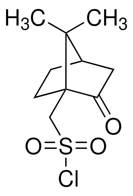 (+)-Campher-10-sulfonylchlorid 97%