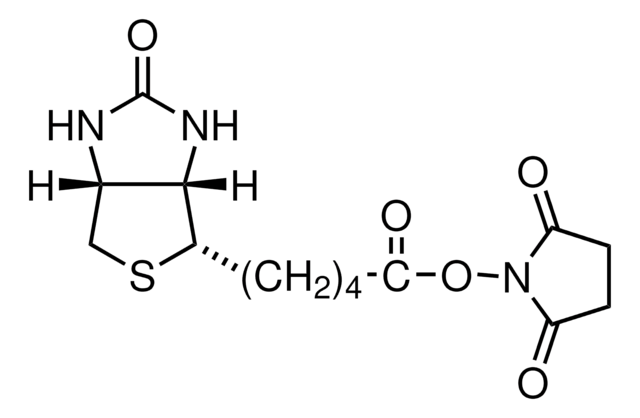 (+)-Biotin N-hydroxysuccinimide ester &#8805;98% (HPLC), powder