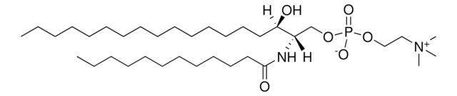 12:0 Dihydro SM (d18:0/12:0) Avanti Polar Lipids 860683P, powder