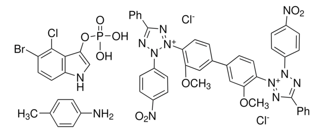 NBT-BCIP&#174; solution BioReagent, suitable as substrate for alkaline phosphatase in dot blots