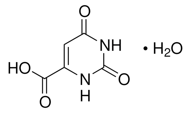 Orotsäure Monohydrat 97%