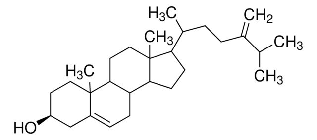 24-Methylene cholesterol Avanti Polar Lipids, powder