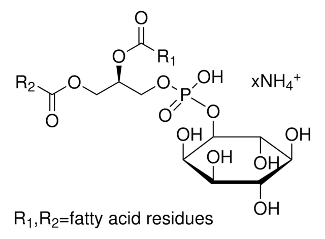 L-&#945;-Phosphatidylinositol Ammoniumsalz -Lösung aus Rinderleber 10&#160;mg/mL in chloroform, &#8805;98% (TLC)