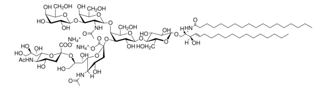 Ganglioside GD1b powder, Avanti Polar Lipids (60056P)