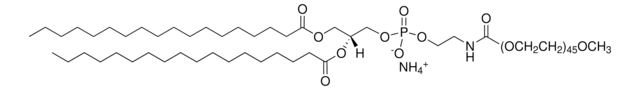 18:0 PEG2000 PE Avanti Polar Lipids 880120C