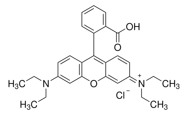 Rhodamin&nbsp;B for fluorescence