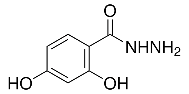 2,4-Dihydroxybenzoesäurehydrazid 97%