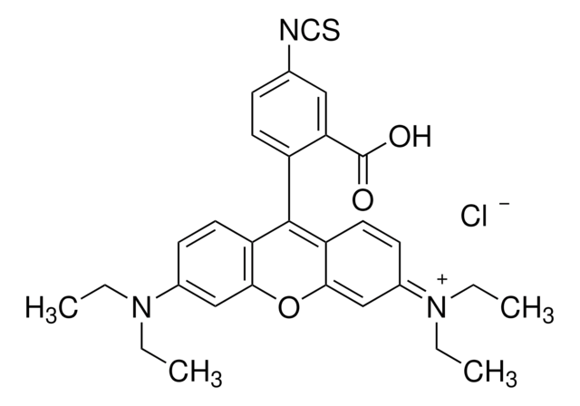 Rhodamine B isothiocyanate BioReagent, mixed isomers, suitable for protein labeling