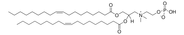 DOCP Avanti Polar Lipids 850311C