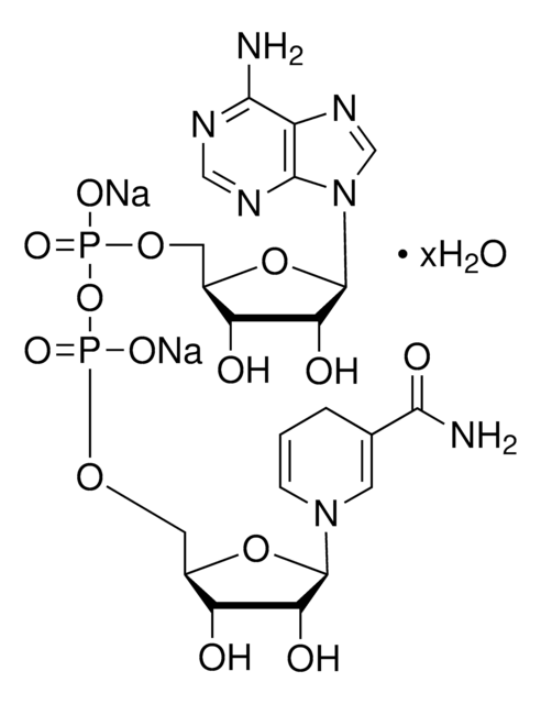 &#946;-Nicotinamidadenin-Dinucleotid, reduziert &#8805;97% (HPLC)