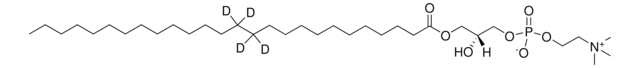 26:0-d4 Lyso PC 1-hexacosanoyl-d4-2-hydroxy-sn-glycero-3-phosphocholine, powder