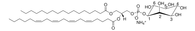 17:0-20:4 PI Avanti Polar Lipids LM1502, methanol solution