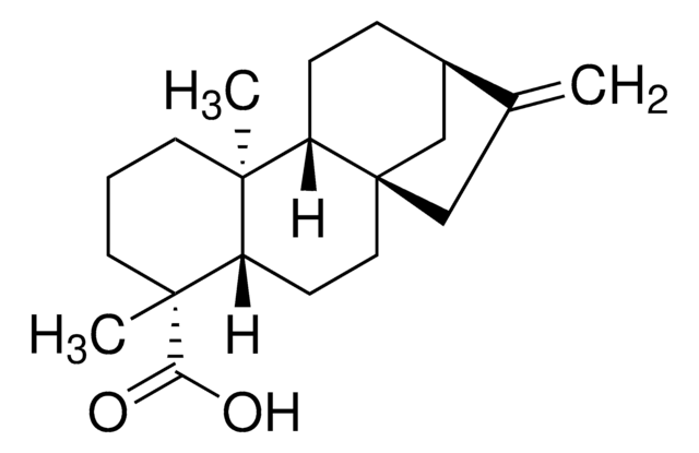 Kaurensäure &#8805;95% (LC/MS-ELSD)