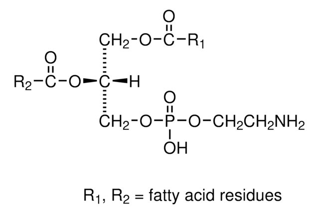 3-sn-Phosphatidylethanolamine from bovine brain Type I, &#8805;98% (TLC), lyophilized powder