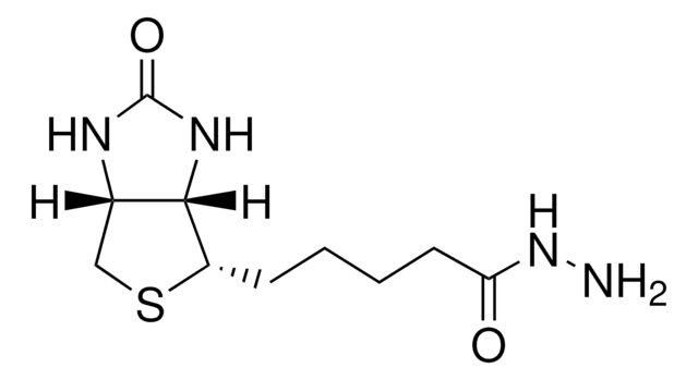 (+)-Biotinhydrazid &#8805;97% (TLC), powder