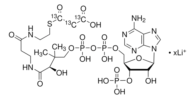 Malonyl-13C3 Coenzym&nbsp;A Lithiumsalz 99 atom % 13C, 95% (CP)