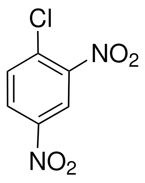 1-Chlor-2,4-dinitrobenzol 97%