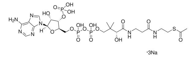 Acetyl-Coenzym&nbsp;A Trinatriumsalz &#8805;93% (HPLC), powder