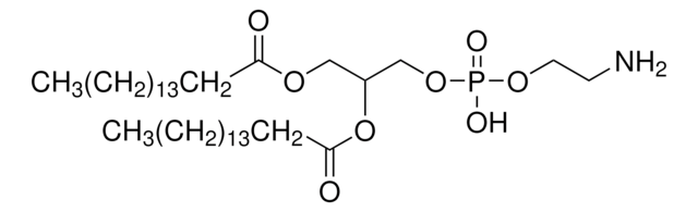 1,2-Dipalmitoyl-rac-glycero-3-phosphoethanolamine synthetic, &#8805;98%