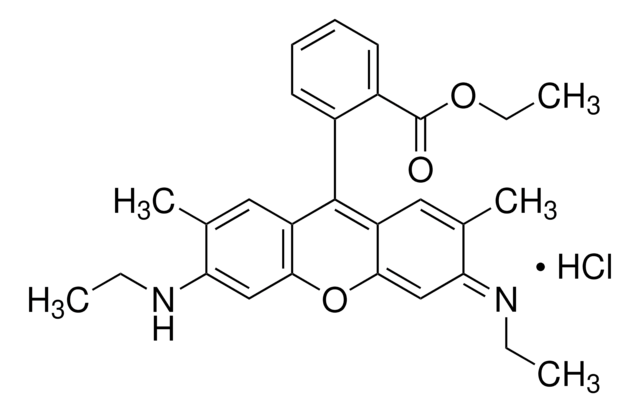 Rhodamin 6G suitable for fluorescence, BioReagent