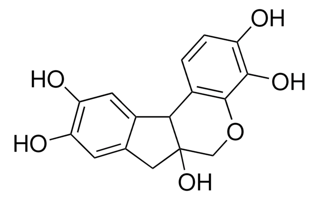 Mayer&#8242;s Hematoxylin Solution