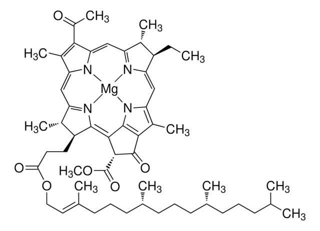 Bakteriochlorophyll aus Rhodopseudomonas sphaeroides