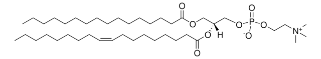 Brain PC Avanti Polar Lipids 840053P, powder