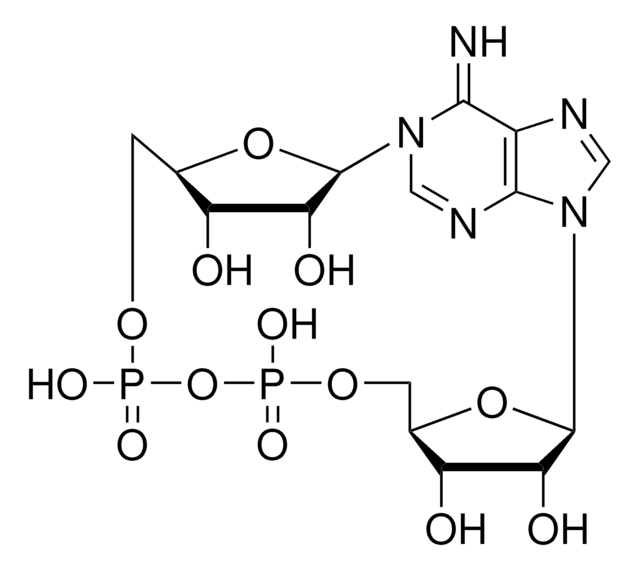 Zyklische Adenosin-Diphosphat-Ribose &#8805;90% (HPLC), lyophilized powder