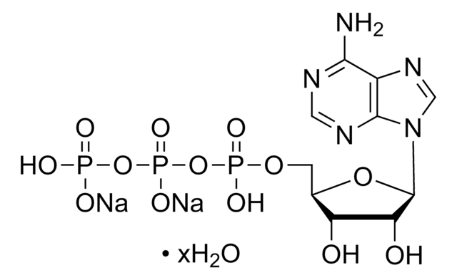 Adenosin-5&#8242;-triphosphat Dinatriumsalz Hydrat BioXtra, &#8805;99% (HPLC), from microbial