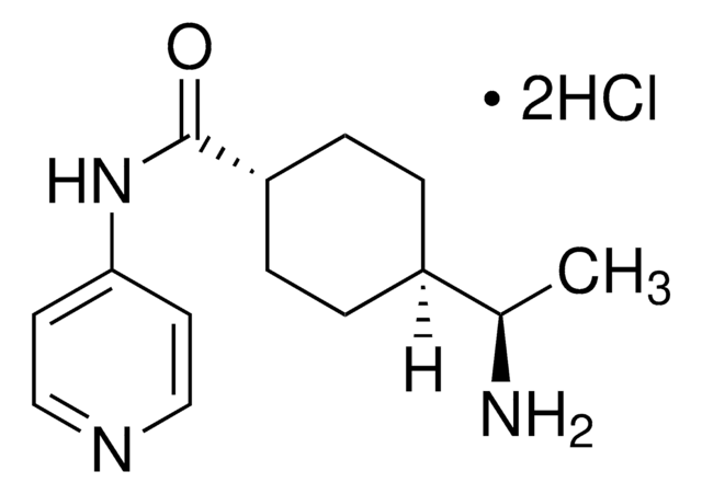 Y-27632 -dihydrochlorid &#8805;98% (HPLC)