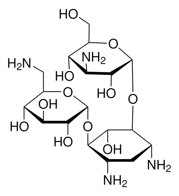 Kanamycin solution from Streptomyces kanamyceticus 50 - 60&#160;mg/mL in 0.9% NaCl, BioReagent, liquid, 0.1 &#956;m filtered, suitable for cell culture