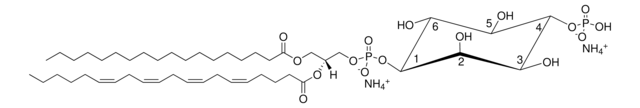 Hirn PI(4)P Avanti Polar Lipids 840045P, powder