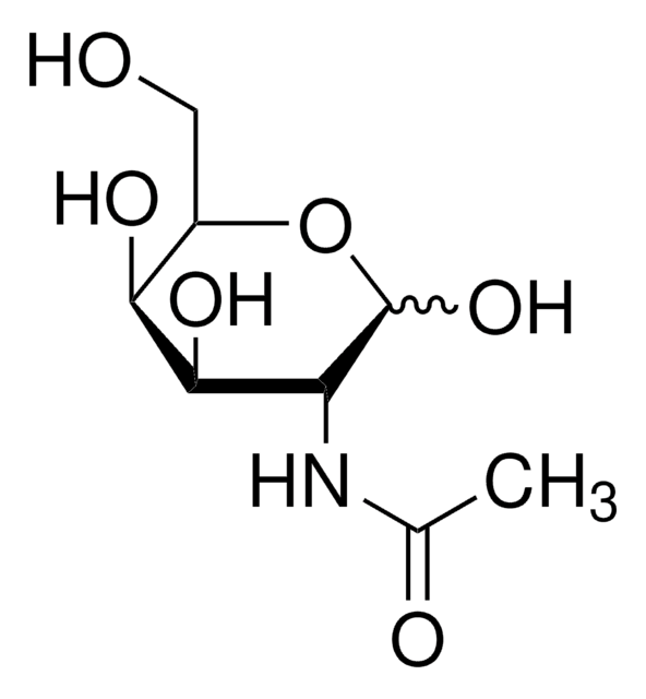 N-Acetyl-D-galactosamine &#8805;98% (HPLC)