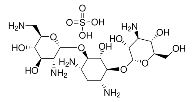 Kanamycin B -sulfat (Salz) aminoglycoside antibiotic