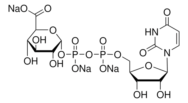 Uridin-5&#8242;-diphosphoglucuronsäure Trinatriumsalz 98-100%