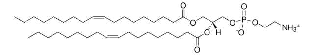 18:1 (&#916;9-Cis) PE (DOPE) Avanti Polar Lipids