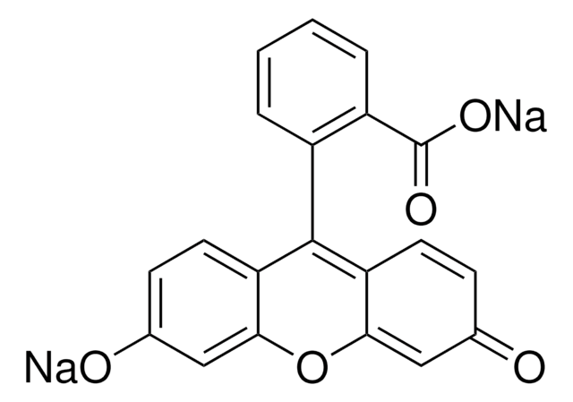 Fluoreszein Natriumsalz used as fluorescent tracer