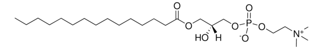 15:0 Lyso PC 1-pentadecanoyl-2-hydroxy-sn-glycero-3-phosphocholine, powder