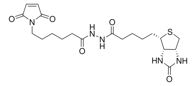 Biotinmaleimid &#8805;95% (TLC), powder