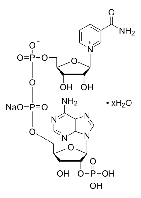 &#946;-Nicotinamidadenin-Dinucleotidphosphat Hydrat