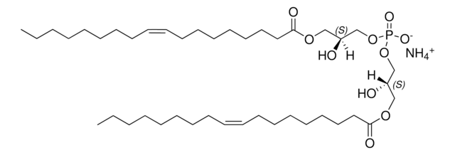 18:1 BMP (S,S) sn-(3-oleoyl-2-hydroxy)-glycerol-1-phospho-sn-1&#8242;-(3&#8242;-oleoyl-2&#8242;-hydroxy)-glycerol (ammonium salt), powder