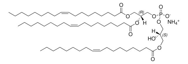 18:1 Hemi BMP (S,R) sn-(3-oleoyl-2-hydroxy)-glycerol-1-phospho-sn-3&#8242;-(1&#8242;,2&#8242;-dioleoyl)-glycerol (ammonium salt), powder