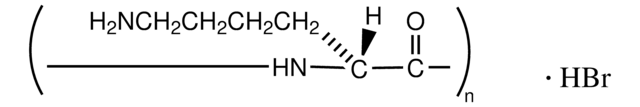 Poly-D-Lysin -hydrobromid mol wt 70,000-150,000, lyophilized powder, &#947;-irradiated, BioReagent, suitable for cell culture