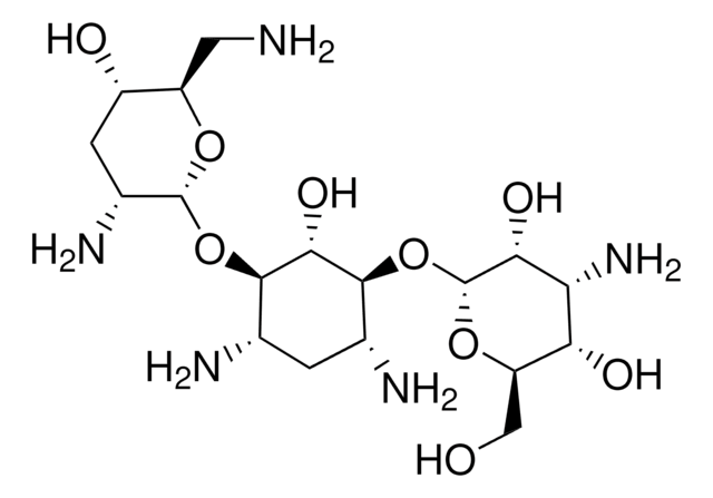 Tobramycin Aminoglycoside antibiotic