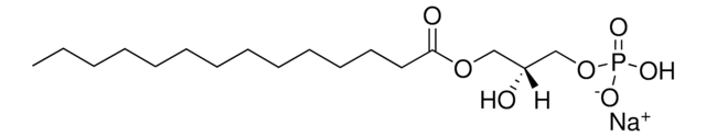 14:0 Lyso PA 1-myristoyl-2-hydroxy-sn-glycero-3-phosphate (sodium salt), powder